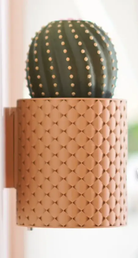 CactiKeys - The Blooming Wall Mounted Keyholder ext2.webp