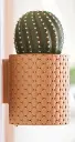 CactiKeys - The Blooming Wall Mounted Keyholder ext2.webp
