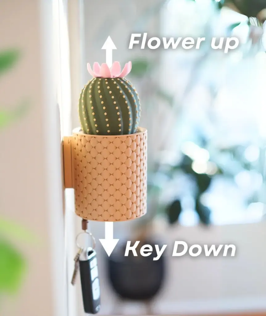 CactiKeys - The Blooming Wall Mounted Keyholder ext1.webp