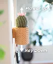 CactiKeys - The Blooming Wall Mounted Keyholder ext1.webp