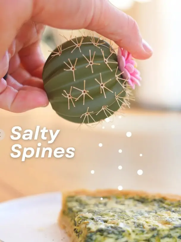 Spikey Spices - Cactus Salt and Pepper Shaker ext.webp