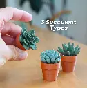 Spinny Succulents - Mini Fidget Spinners - Pocket Plants Collection ext 1.webp
