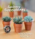 Spinny Succulents - Mini Fidget Spinners - Pocket Plants Collection.webp