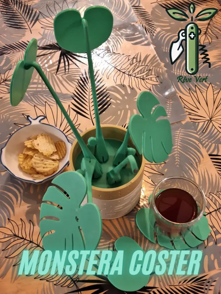 Monstera Coster