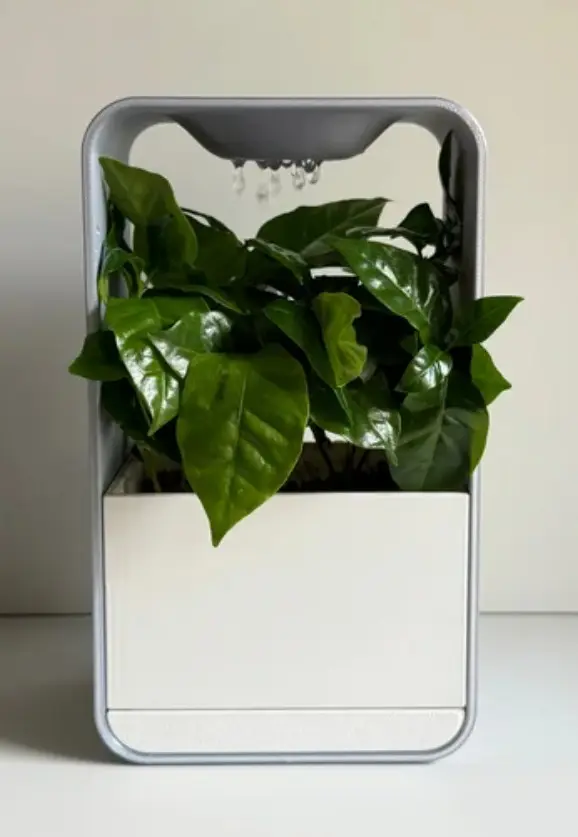 Cloud, desk pot planter.