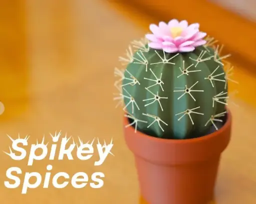 Spikey Spices - Cactus Salt and Pepper Shaker